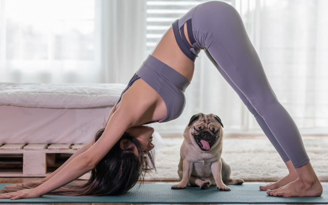 Is the gym too expensive? We’re here to help 😃