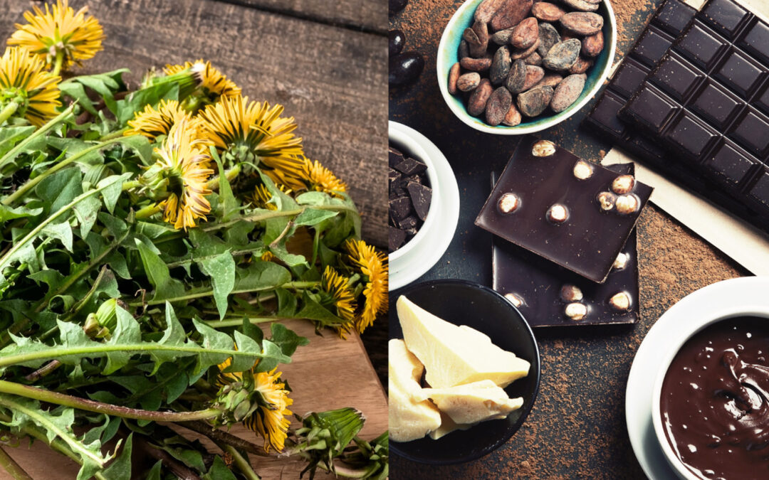How Does Your Diet Affect Your Spine? Can Chocolate Make Your Spine Healthier?